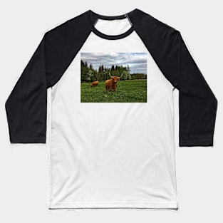 Scottish Highland Cattle Cow 2400 Baseball T-Shirt